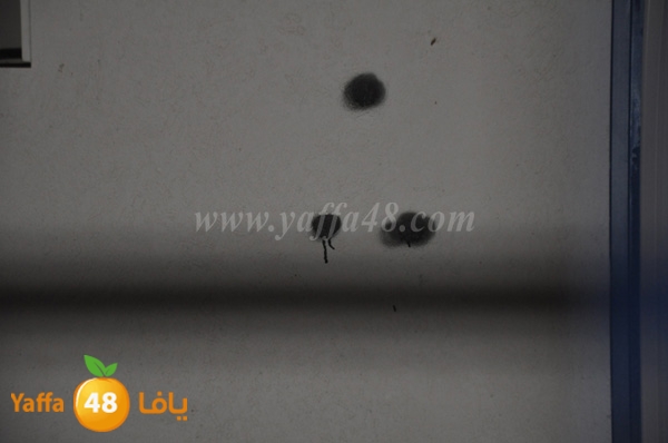 she3arat mosi2a (6).JPG